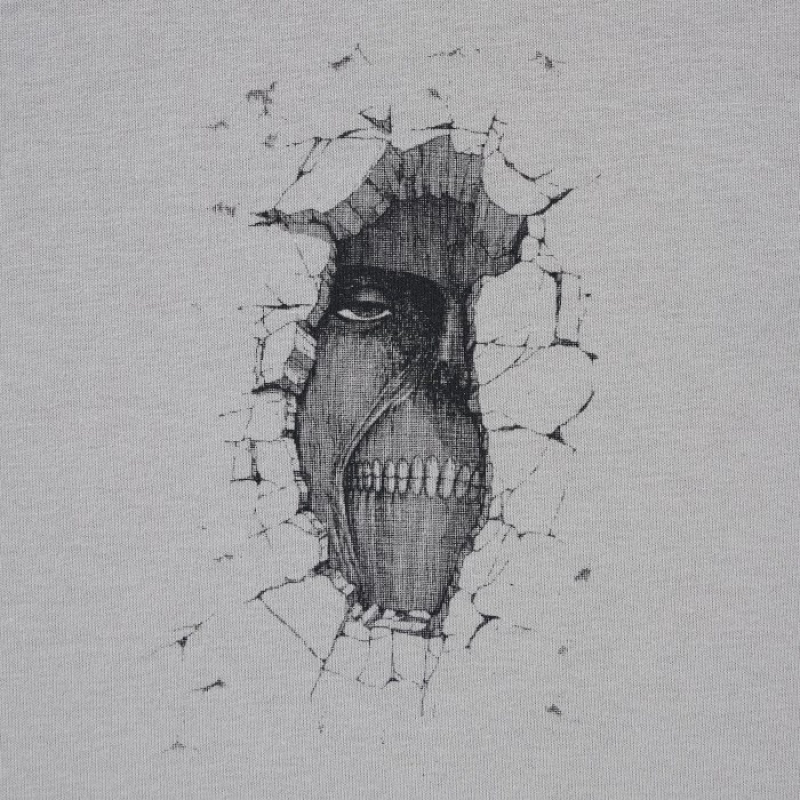 Uniqlo Attack on Titan UT Short-Sleeve A Titan Inside The Wall T Shirts Dame Grå | 500338