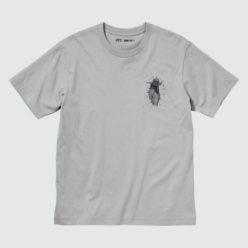 Uniqlo Attack on Titan UT Short-Sleeve A Titan Inside The Wall T Shirts Dame Grå | 500338