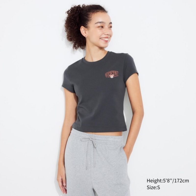 Uniqlo Collection UT Short-Sleeve T Shirts Dame Grå | 7758051