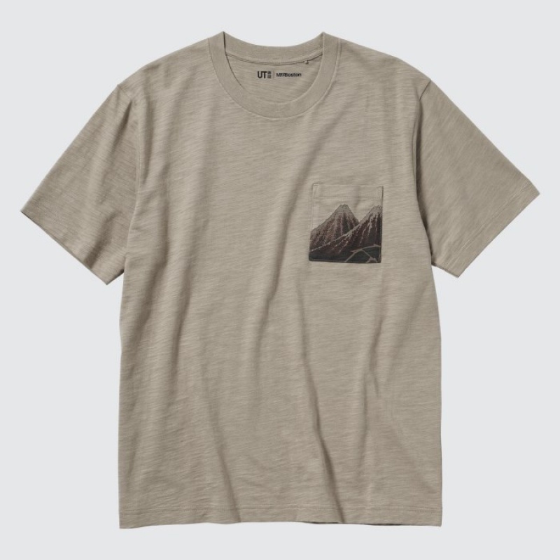 Uniqlo Hokusai UT Short Sleeve T Shirts Dame Beige | 4464343